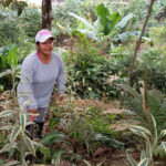 Ecuador: La “Pastoral de la Huerta” sigue sembrando conciencia
